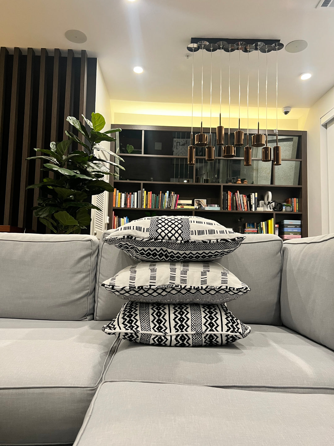 Danso Throw Pillow: Stylish Comfort for Your Home